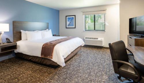 Standard Queen Room