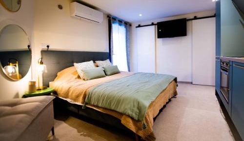 Deluxe One-Bedroom Apartment