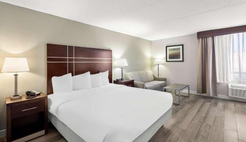 King Room with Sofa Bed - Pet Friendly/First FLoor