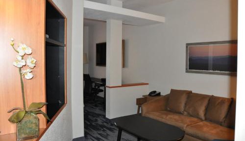 Studio with King Bed and Sofa Bed