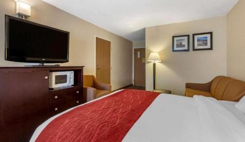 Double Room with Two Double Beds - Accessible/Non-Smoking