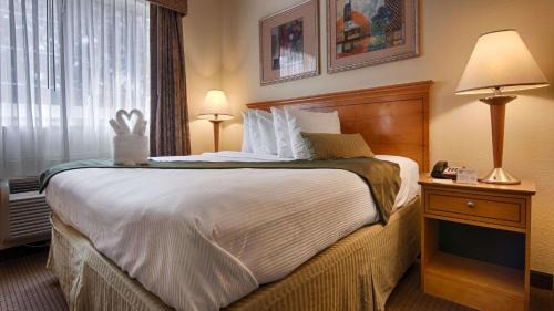 Mini King Suite with Sofa Bed - Disability Access/Non-Smoking