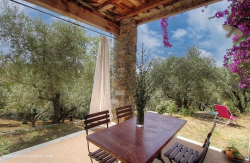 Cervione House | Alivetu - CERVIONE - Gîte