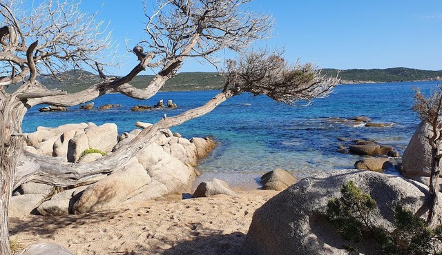 Location Corse du Sud vue mer